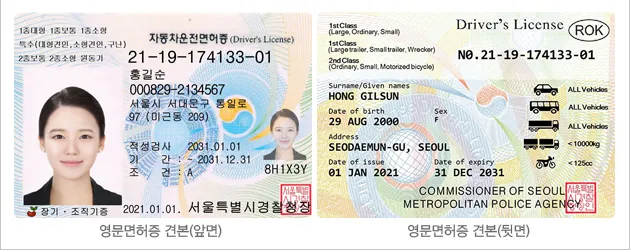 Korean Driver's License