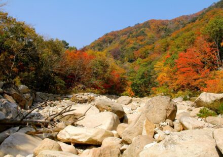 가을 단풍 여행 설악산 단풍 절정 능선 풍경