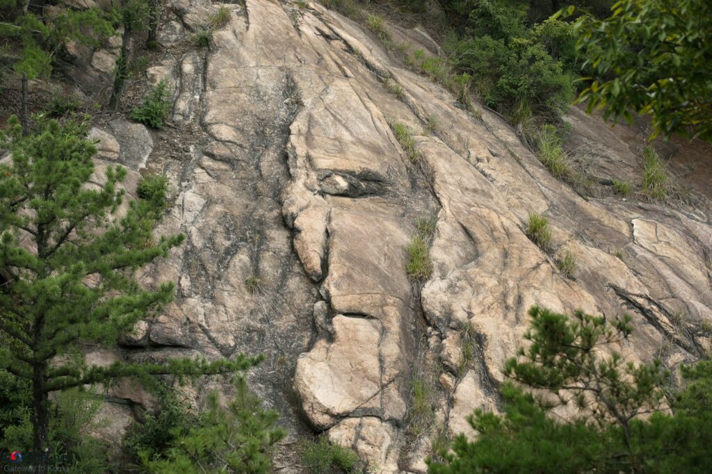 Gyeonggi valley day trip near Seoul — summer forest walking atmosphere