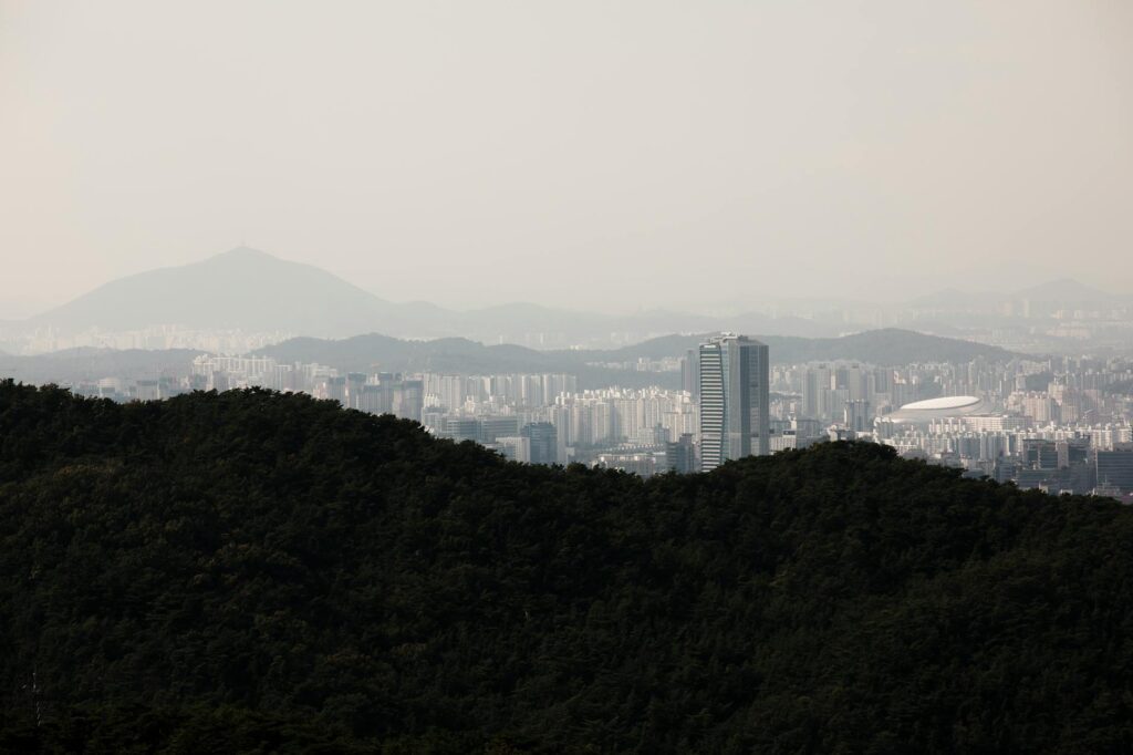 아침고요수목원 야간 조명 시즌 오색별빛정원전