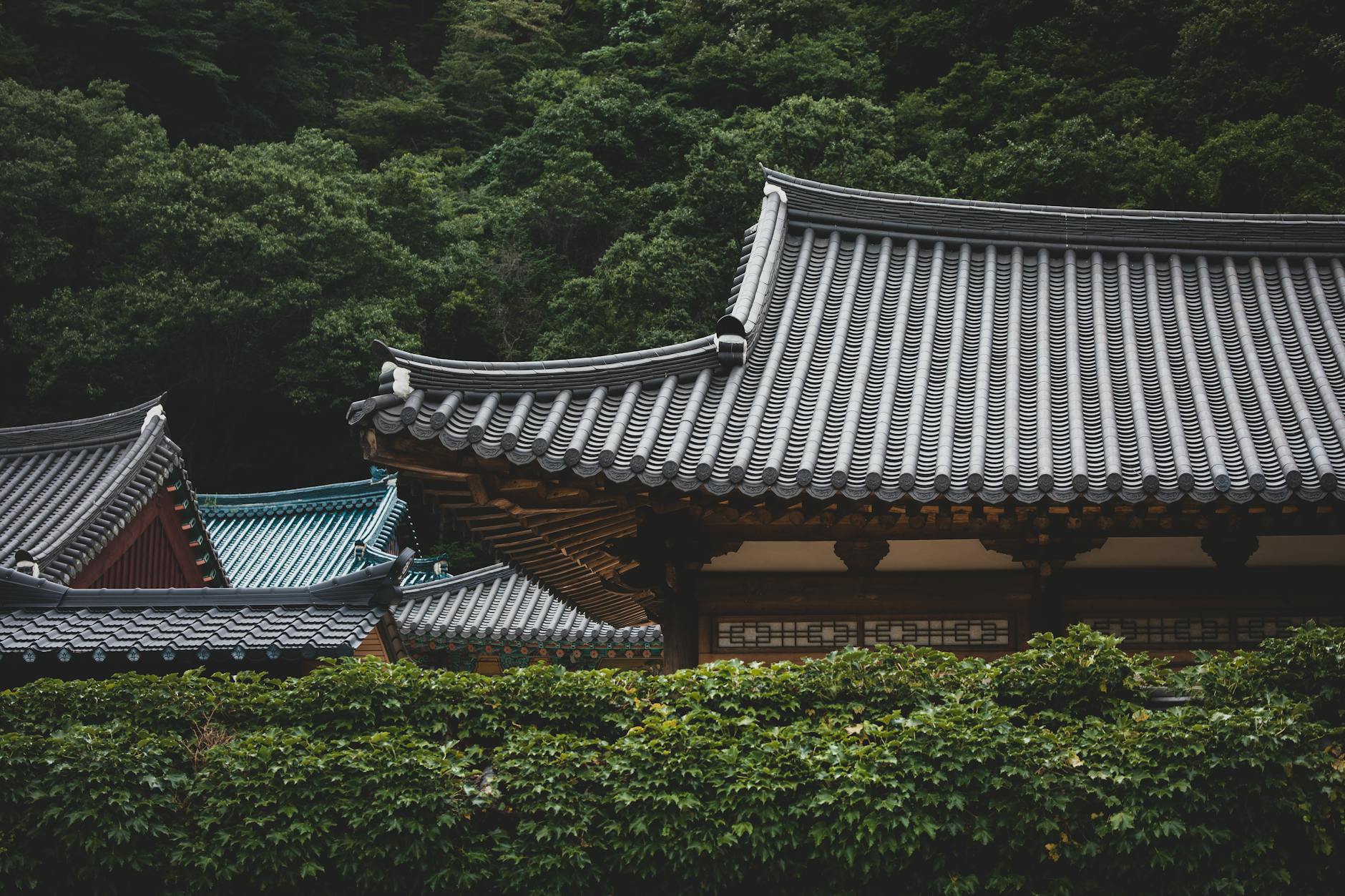 Aegibong Peace Park Gimpo DMZ viewpoint