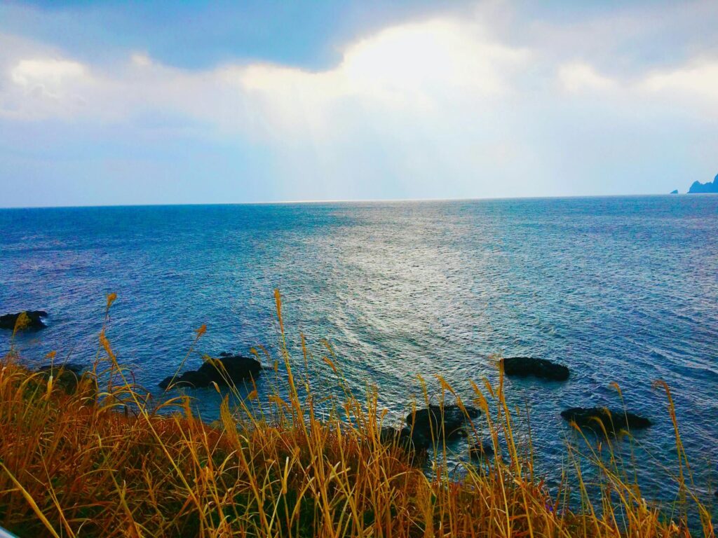 성산일출봉 섭지코지 가이드 대표 풍경
