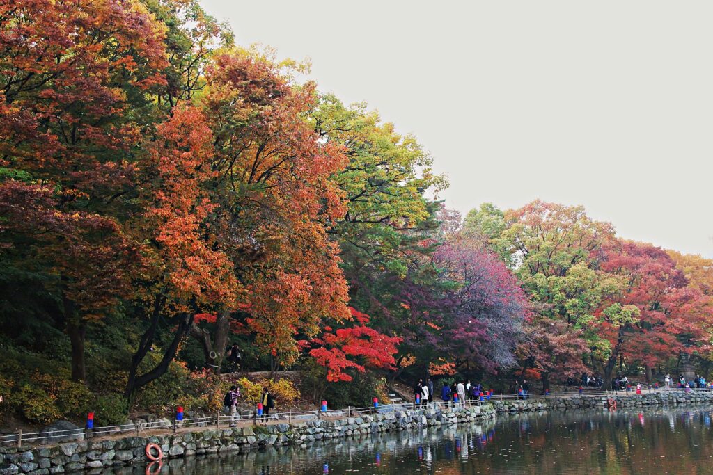 Jongmyo Changgyeonggung 1-day course photo spot - Changgyeonggung Chundangji pond in autumn foliage