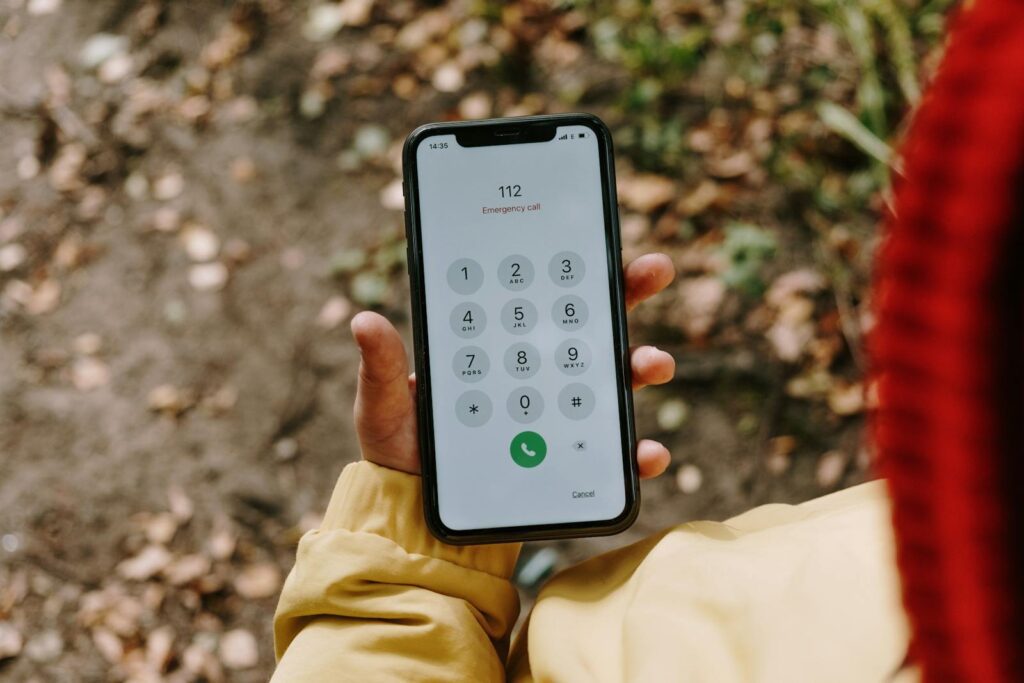 Korea emergency alert text response 112 119 emergency call