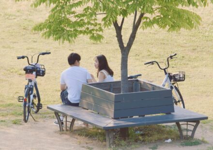 한국 연애 문화 차이 가이드 — 서울 공원 커플