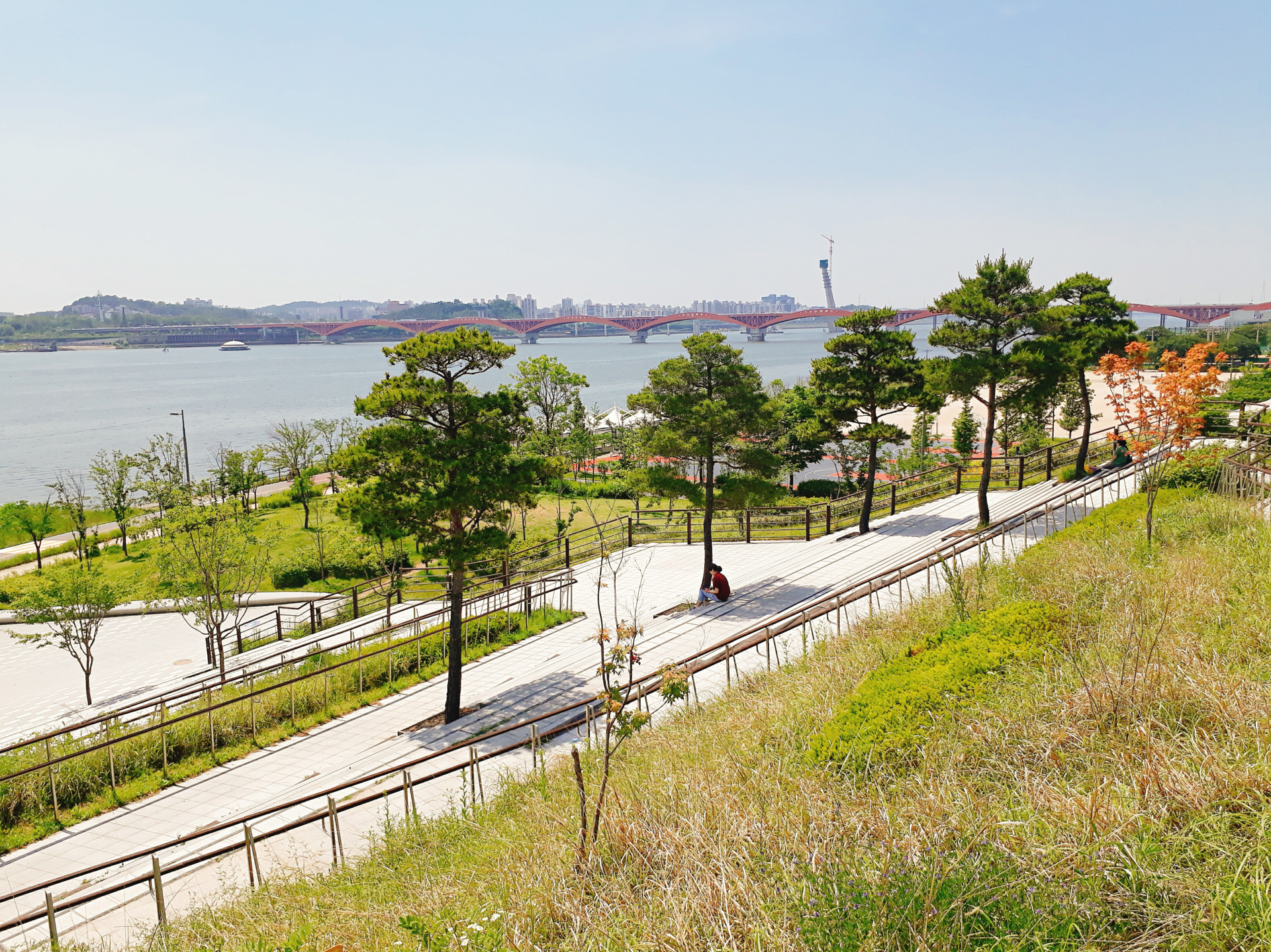 Mangwon Market Hangang picnic lawn and river walking path