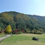 아침고요수목원 봄 정원 풍경 — 경기도 가평 아침고요수목원