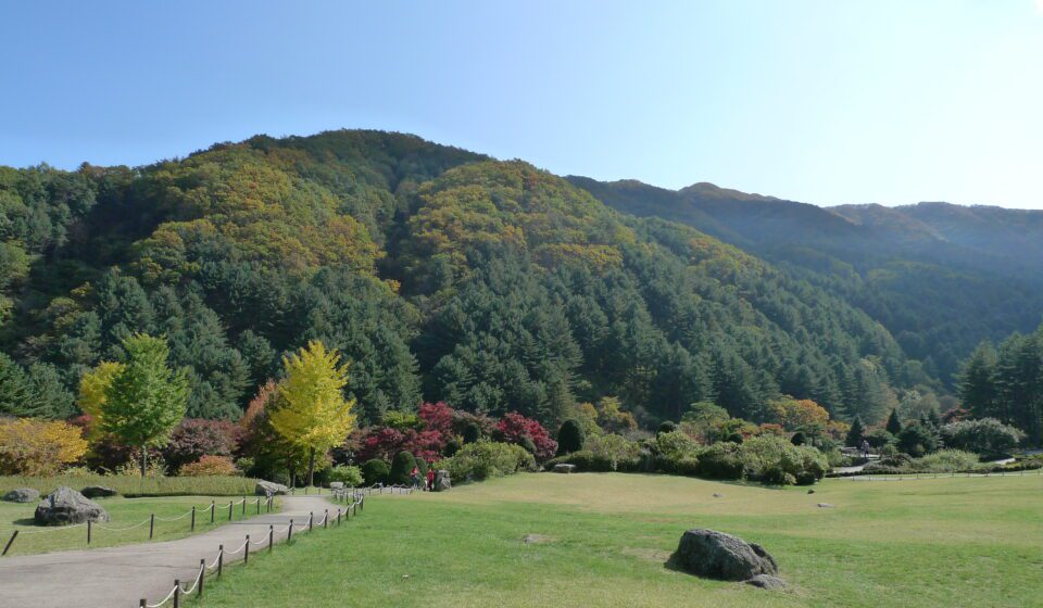아침고요수목원 봄 정원 풍경 — 경기도 가평 아침고요수목원