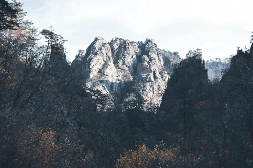 강원도 가을 단풍 로드 오대산 숲길 단풍 풍경