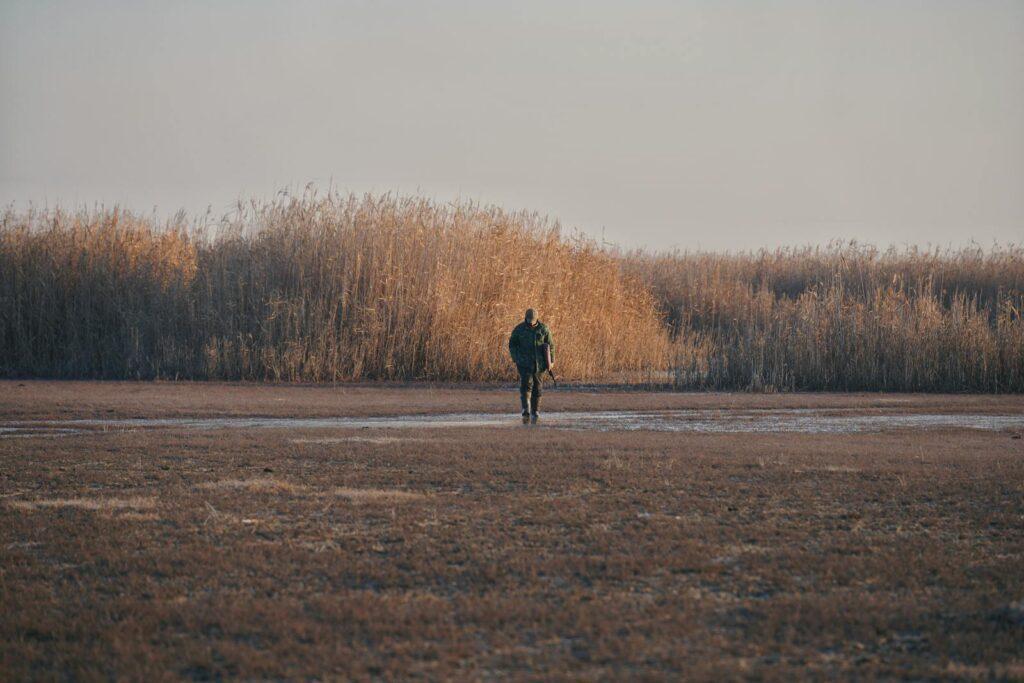 Suncheon autumn reed sunset — wetland atmosphere from Yongsan Observatory