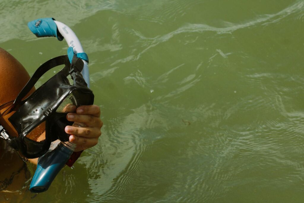 Yeosu summer sea activities - free snorkeling experience scene