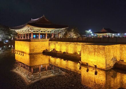 경주 자전거 여행 동궁과 월지 야경