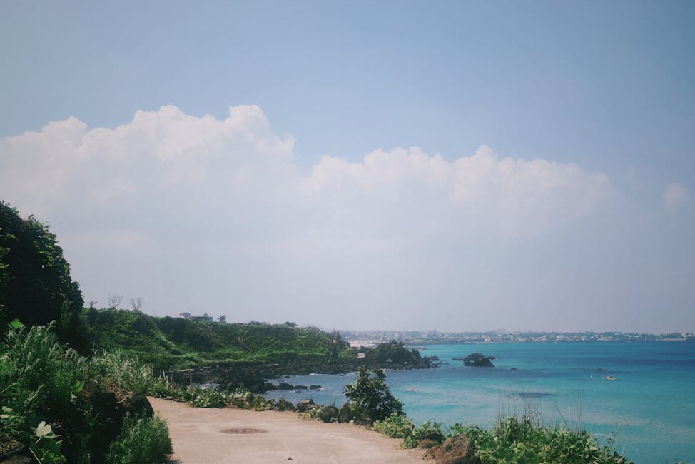 Jeju black pork restaurant route west coast scenery