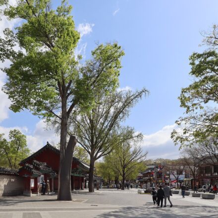 전주 경기전 향교 산책 코스의 경기전 정전 외관