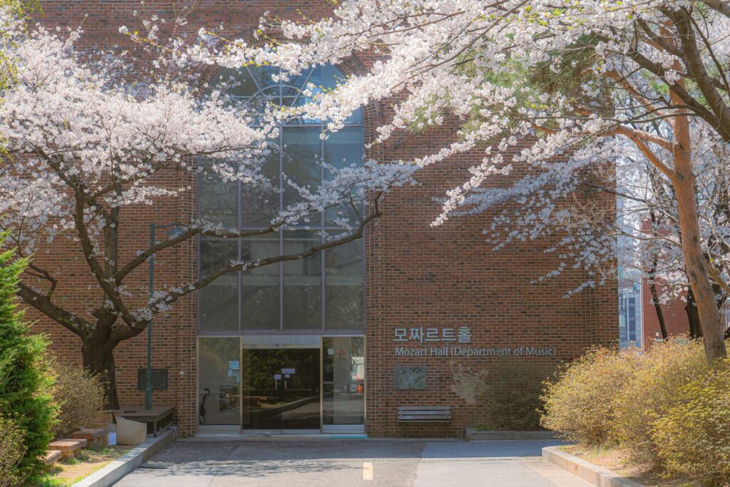 University campus food guide hubs — street view of the Sinchon and Ewha campus district
