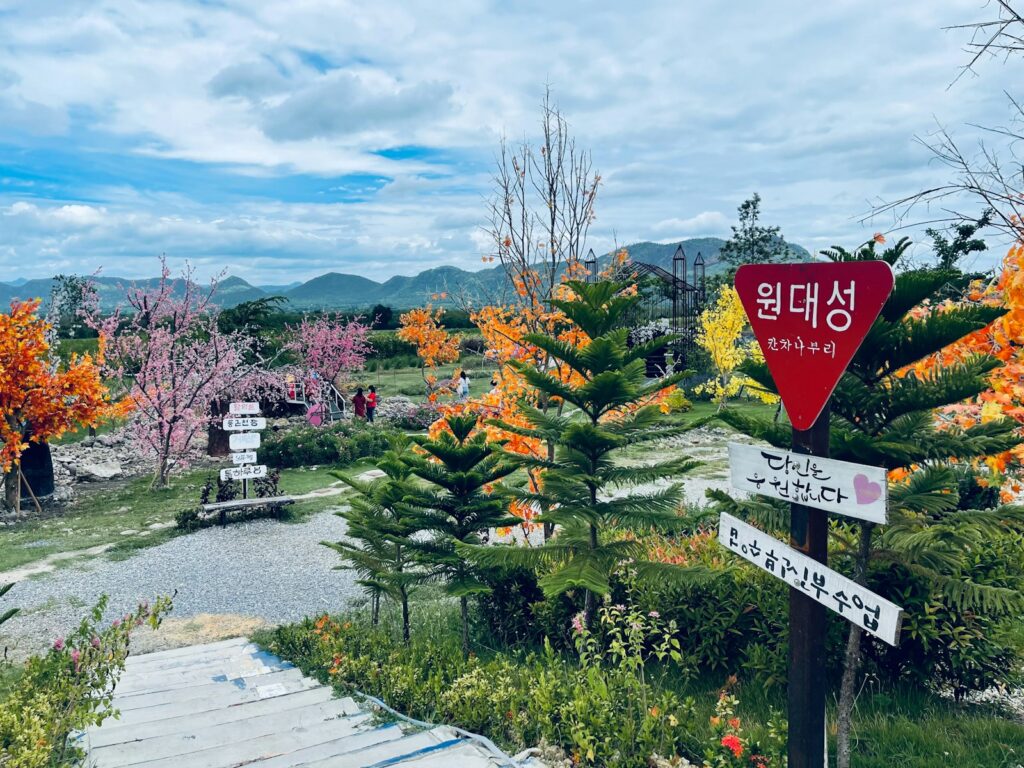 봄꽃 축제 튤립 — 다채로운 색상의 튤립 꽃밭