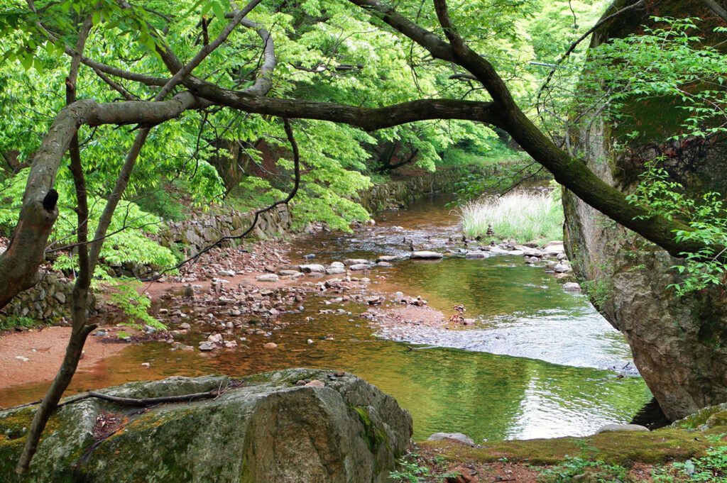 Korea temple stay famous spot — Beopjusa temple landscape on Songnisan