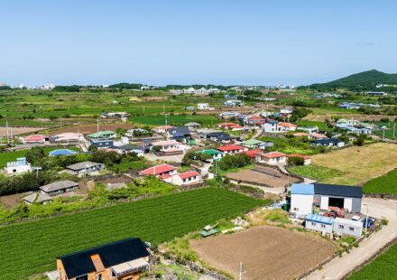우도 당일치기 코스 자전거 vs 스쿠터 해안 경관