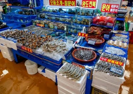 군산 로컬 맛집 지도 완벽 가이드: 해산물·분식 동선 핀 리스트 — 대표 이미지