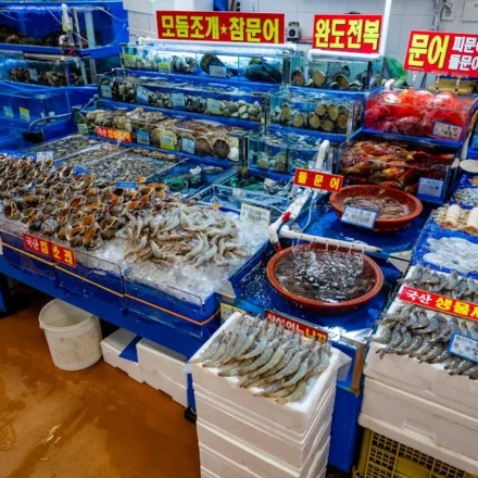 군산 로컬 맛집 지도 완벽 가이드: 해산물·분식 동선 핀 리스트 — 대표 이미지