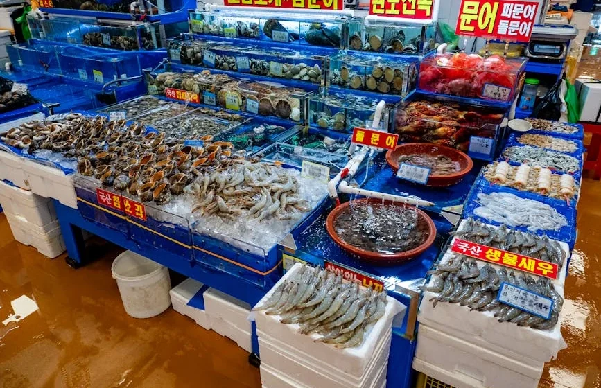 군산 로컬 맛집 지도 완벽 가이드: 해산물·분식 동선 핀 리스트 — 대표 이미지