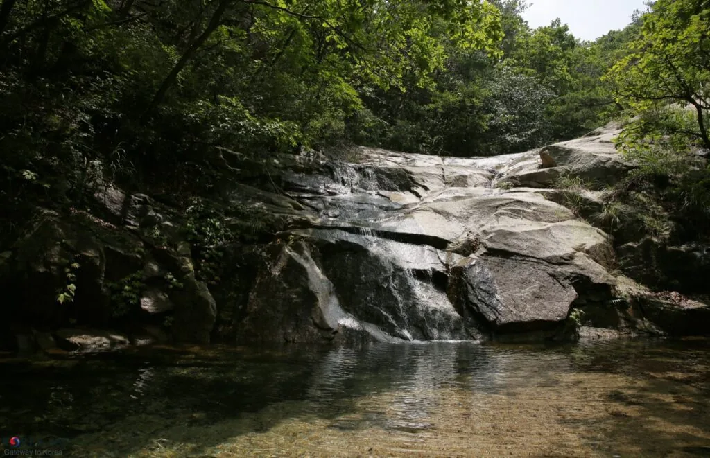 Gapyeong natural recreation forest healing travel — summer forest shade and valley route