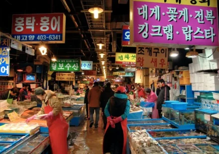 포항 죽도시장 먹방 루트 어시장 회센터 풍경