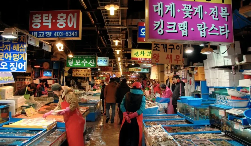 포항 죽도시장 먹방 루트 어시장 회센터 풍경