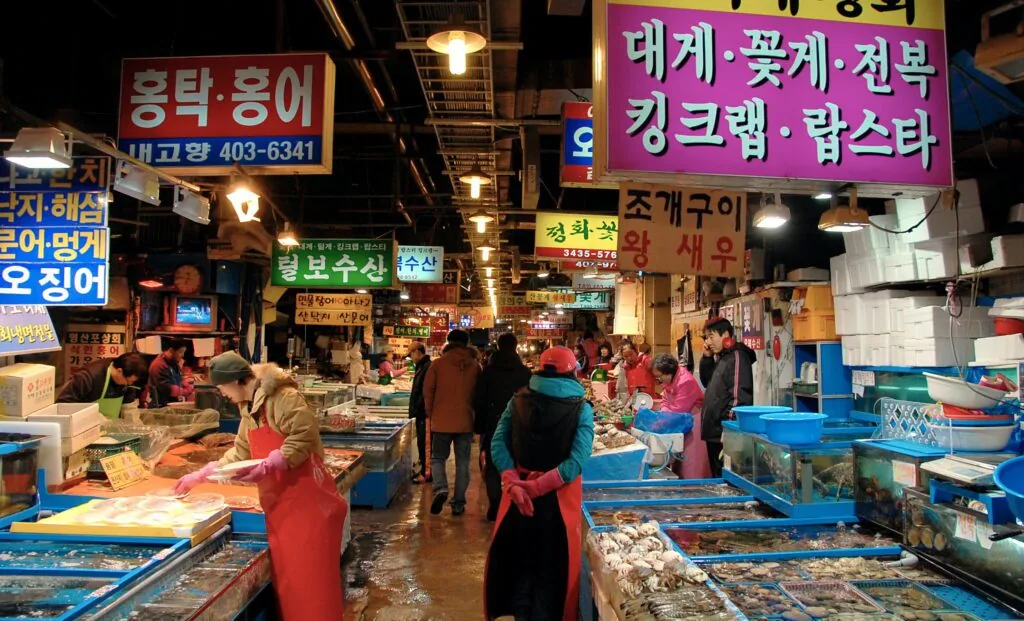 포항 죽도시장 먹방 루트 완벽 가이드: 물회·회센터·문어골목 동선 대표 이미지