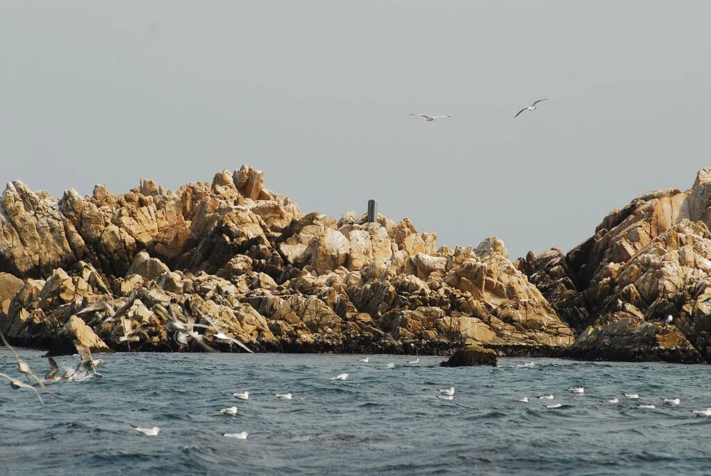 Gyeongju Gampo coast drive route King Munmu Tomb Bonggil Beach