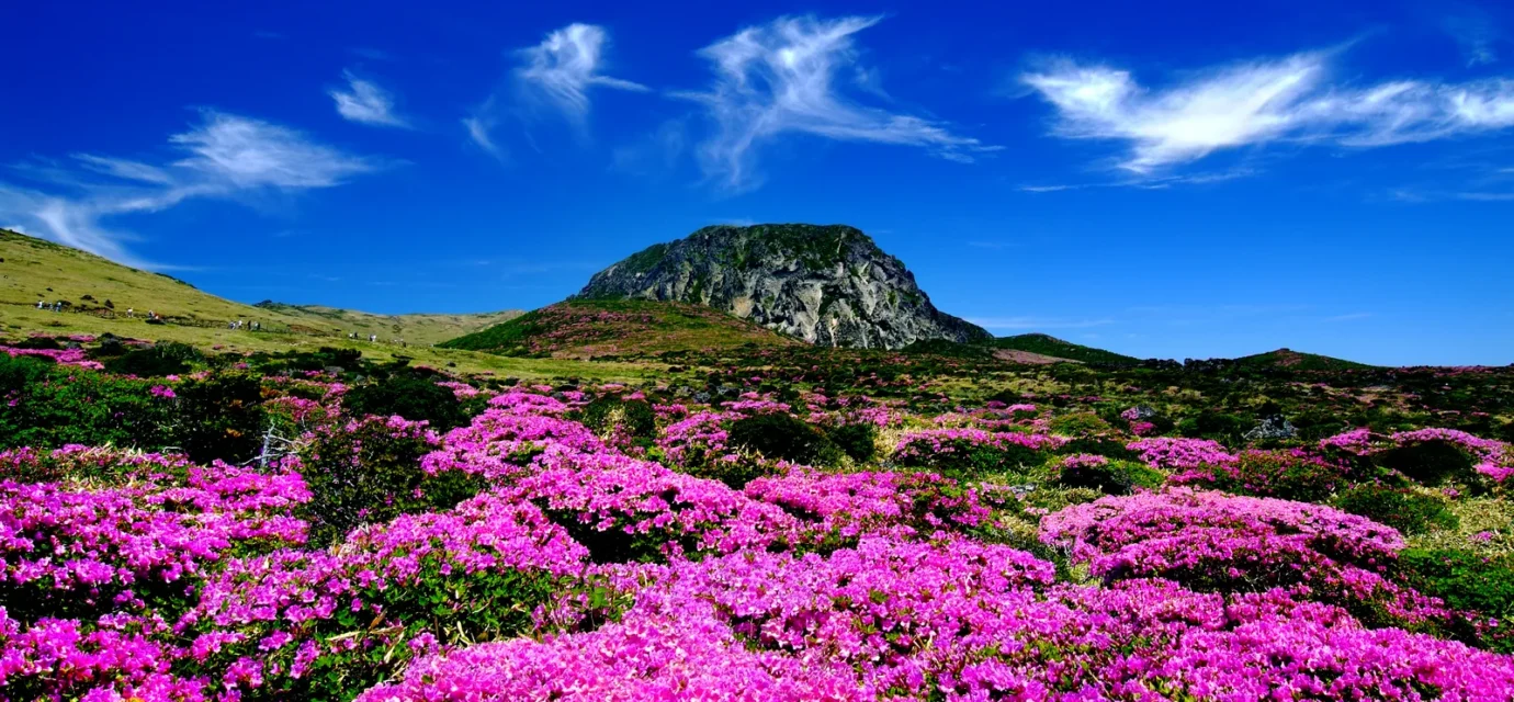 한라산 정상 백록담 도전 — 제주 한라산 능선과 백록담 전경