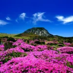 한라산 정상 백록담 도전 — 제주 한라산 능선과 백록담 전경