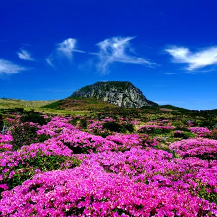 한라산 정상 백록담 도전 — 제주 한라산 능선과 백록담 전경