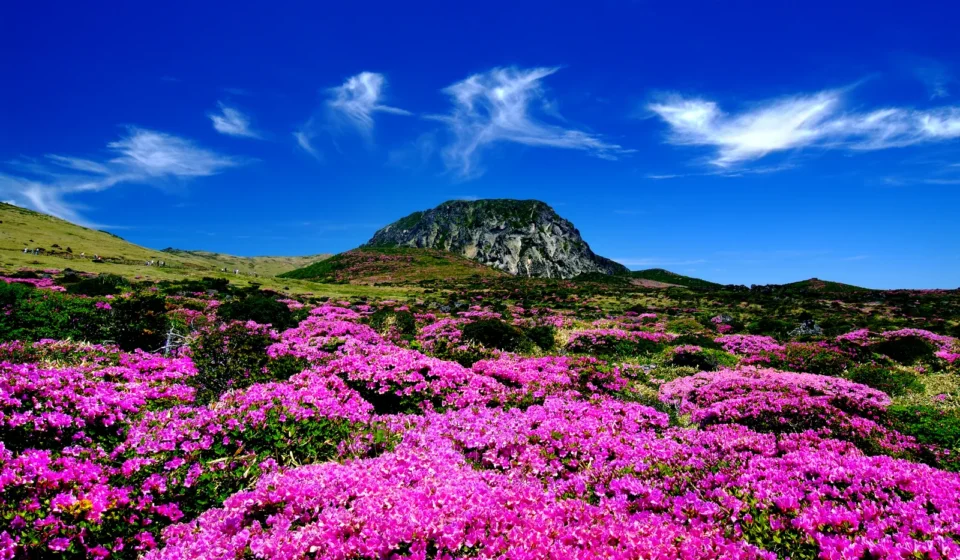 한라산 정상 백록담 도전 — 제주 한라산 능선과 백록담 전경