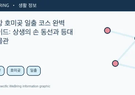 Illustrated WeBring guide: 포항 호미곶 일출 코스 완벽 가이드: 상생의 손 동선과 등대 박물관