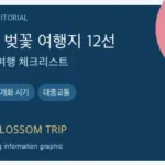 외국인을 위한 여의도 대신 딱 여행 느낌 나는 서울 밖 벚꽃 여행지 12선 추천 핵심 내용을 보여주는 WeBring 이미지
